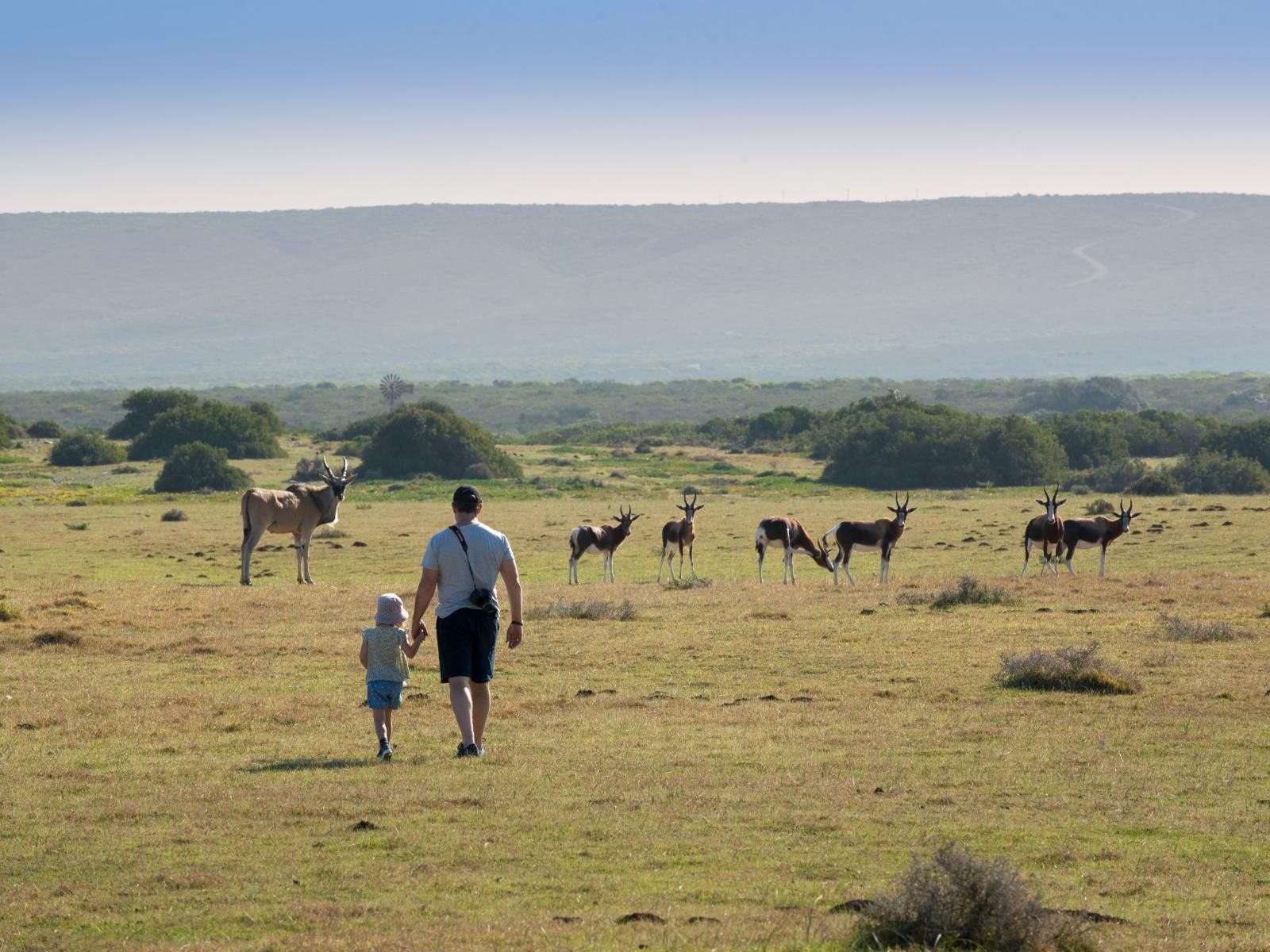 Morukuru Family De Hoop, Lowland, Nature, Person