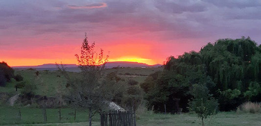 Mosamane Guest Farm Senekal Free State South Africa Sky, Nature, Sunset