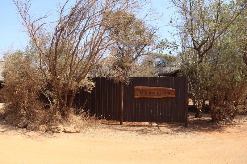 Mosetlha Bush Camp And Eco Lodge Madikwe Game Reserve North West Province South Africa Desert, Nature, Sand