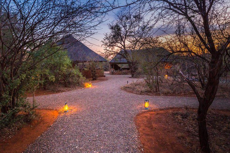 Mosetlha Bush Camp And Eco Lodge Madikwe Game Reserve North West Province South Africa 