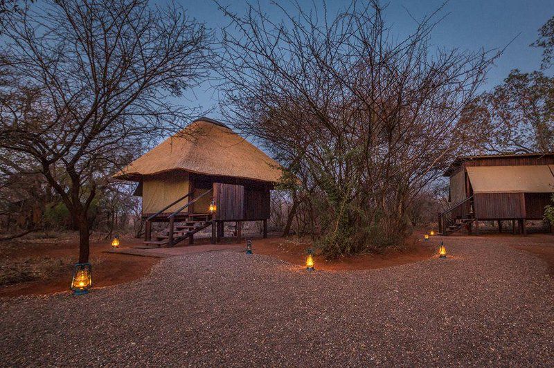 Mosetlha Bush Camp And Eco Lodge Madikwe Game Reserve North West Province South Africa 