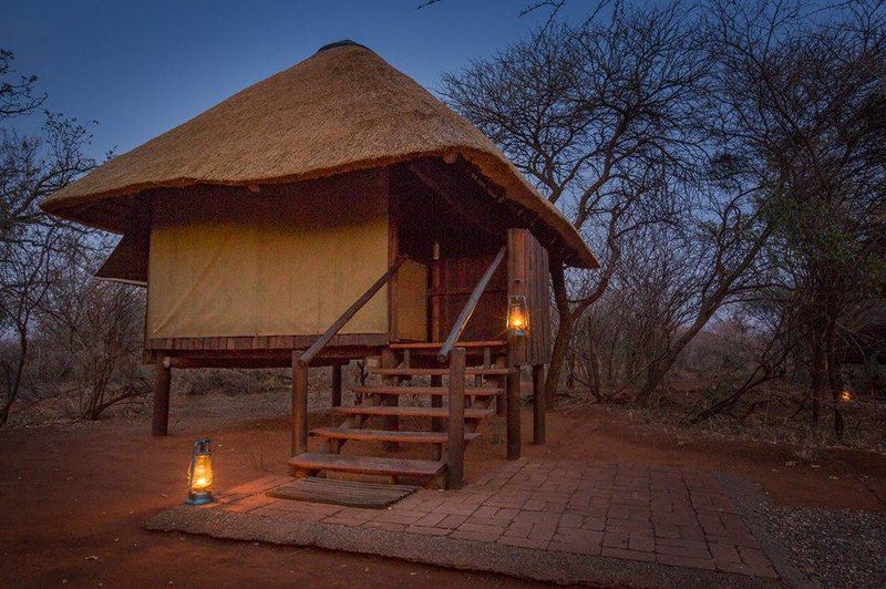 Mosetlha Bush Camp And Eco Lodge Madikwe Game Reserve North West Province South Africa 