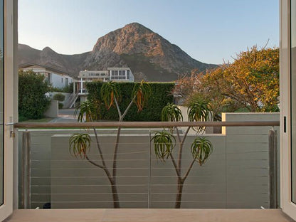 Mosselberg On Grotto Beach Voelklip Hermanus Western Cape South Africa Palm Tree, Plant, Nature, Wood