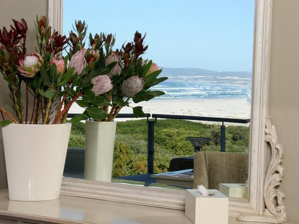 Mosselberg On Grotto Beach Voelklip Hermanus Western Cape South Africa Complementary Colors, Balcony, Architecture, Beach, Nature, Sand, Bouquet Of Flowers, Flower, Plant, Framing