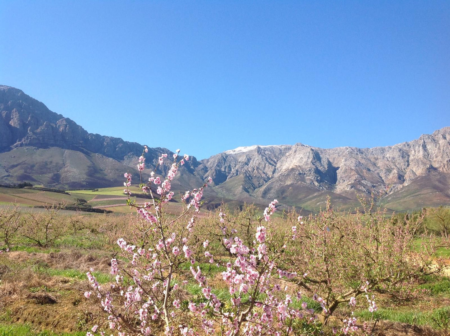 Mosterts Hoek Guest House Ceres Western Cape South Africa Complementary Colors, Blossom, Plant, Nature, Mountain, Highland