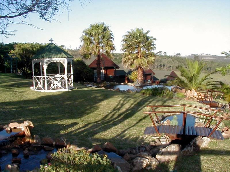 Mother Goose Bed And Breakfast Blue Horizon Bay Port Elizabeth Eastern Cape South Africa Palm Tree, Plant, Nature, Wood, Garden