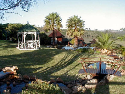 Mother Goose Bed And Breakfast Blue Horizon Bay Port Elizabeth Eastern Cape South Africa Palm Tree, Plant, Nature, Wood, Garden