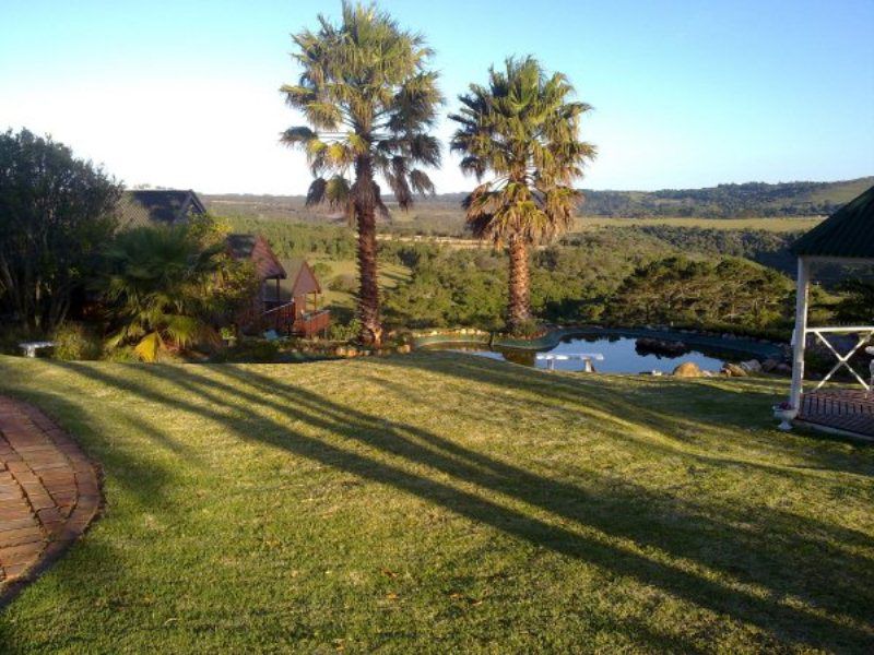 Mother Goose Bed And Breakfast Blue Horizon Bay Port Elizabeth Eastern Cape South Africa Palm Tree, Plant, Nature, Wood, Garden