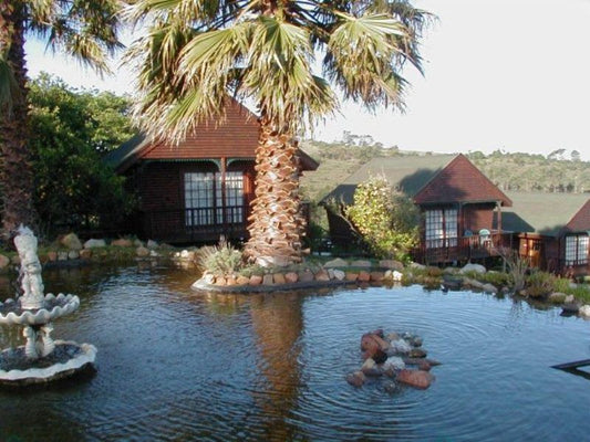Mother Goose Bed And Breakfast Blue Horizon Bay Port Elizabeth Eastern Cape South Africa House, Building, Architecture, Palm Tree, Plant, Nature, Wood, Garden, Swimming Pool