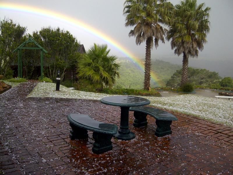 Mother Goose Bed And Breakfast Blue Horizon Bay Port Elizabeth Eastern Cape South Africa Palm Tree, Plant, Nature, Wood, Rainbow, Rain