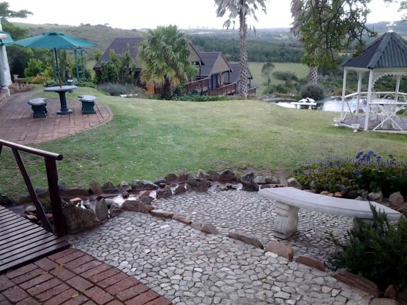 Mother Goose Bed And Breakfast Blue Horizon Bay Port Elizabeth Eastern Cape South Africa Unsaturated, Palm Tree, Plant, Nature, Wood, Garden, Highland, Swimming Pool