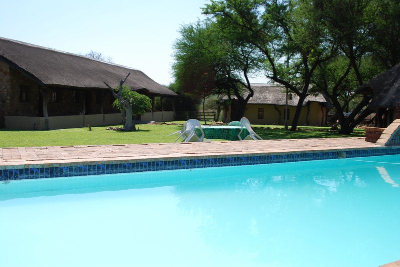 Motsomi Safaris Madikwe Game Reserve North West Province South Africa Swimming Pool