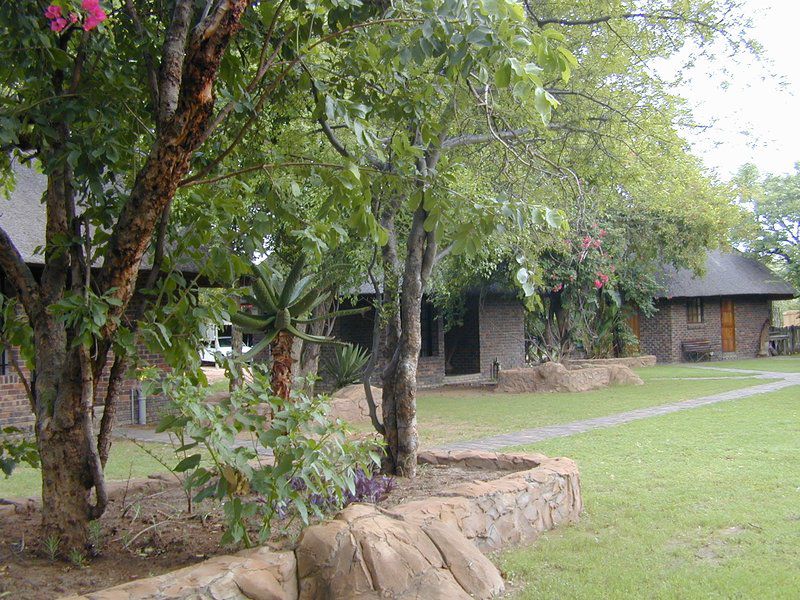 Motsomi Lodge And Tent Camp Thabazimbi Limpopo Province South Africa 