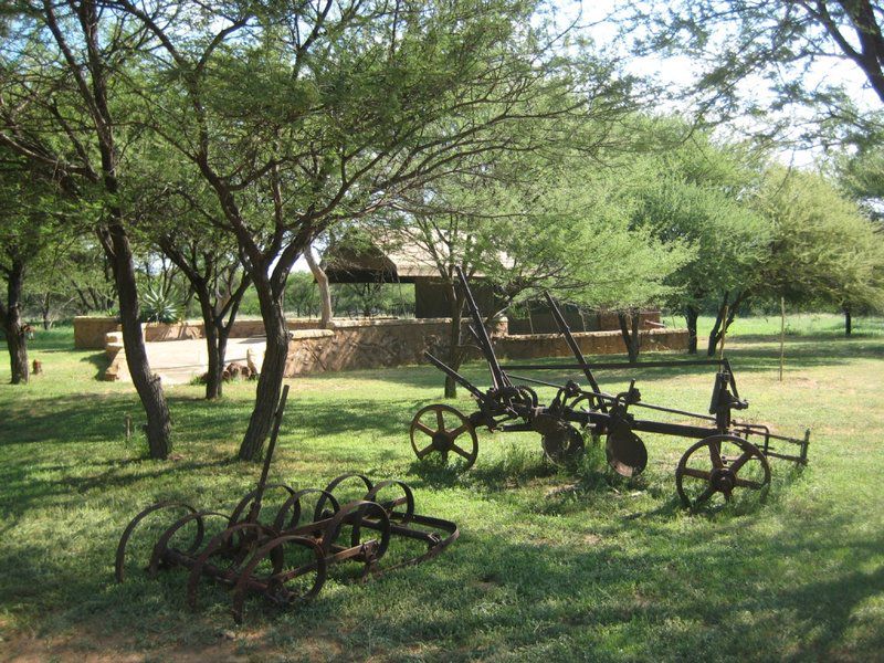 Motsomi Lodge And Tent Camp Thabazimbi Limpopo Province South Africa 