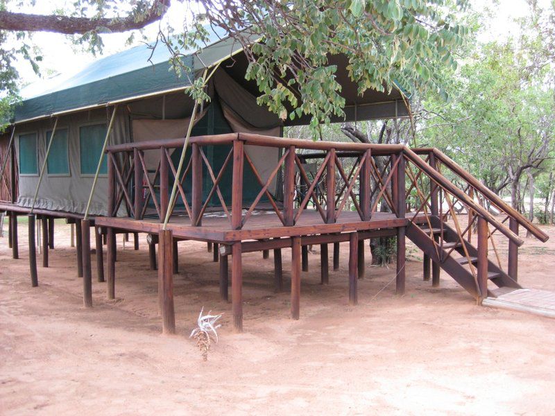 Motsomi Lodge And Tent Camp Thabazimbi Limpopo Province South Africa 