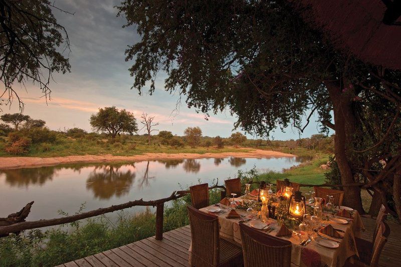 Motswari Private Game Reserve Timbavati Reserve Mpumalanga South Africa Place Cover, Food