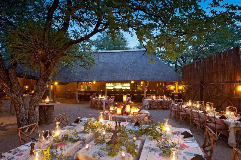 Motswari Private Game Reserve Timbavati Reserve Mpumalanga South Africa Place Cover, Food