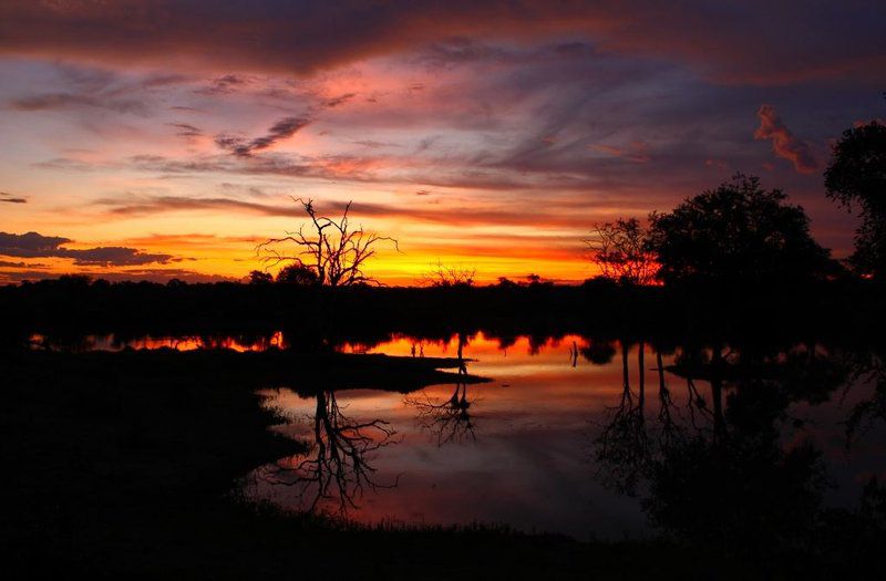 Motswari Private Game Reserve Timbavati Reserve Mpumalanga South Africa Sky, Nature, Sunset