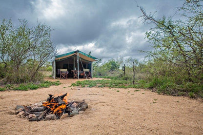 Motswari Private Game Reserve Timbavati Reserve Mpumalanga South Africa Tent, Architecture