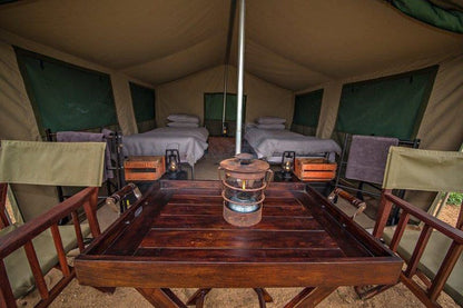 Motswari Private Game Reserve Timbavati Reserve Mpumalanga South Africa Tent, Architecture