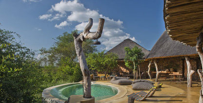 Motswari Geiger S Camp Timbavati Reserve Mpumalanga South Africa Swimming Pool