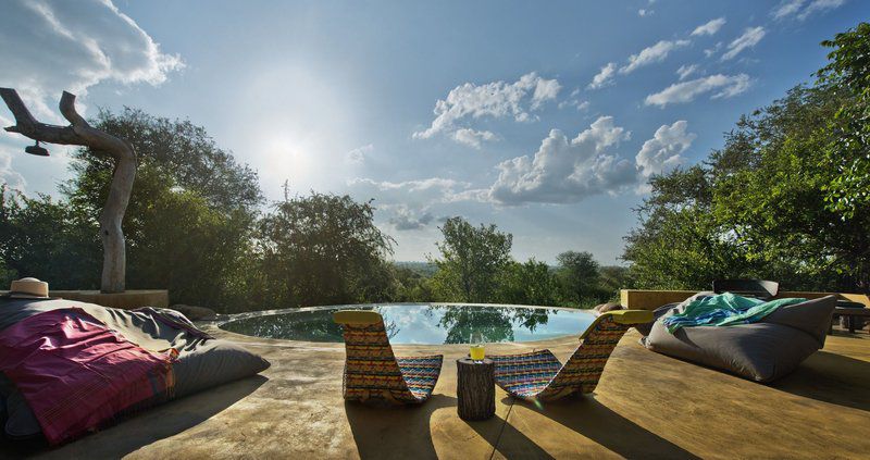 Motswari Geiger S Camp Timbavati Reserve Mpumalanga South Africa Swimming Pool