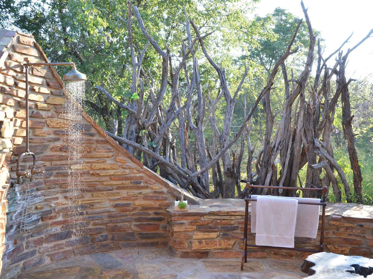 Motswiri Private Safari Lodge Madikwe Game Reserve North West Province South Africa 