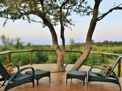 Motswiri Private Safari Lodge Madikwe Game Reserve North West Province South Africa 