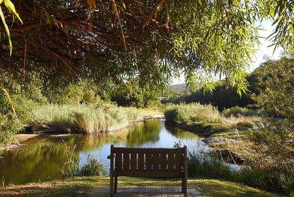 Mount Amanzi Hartbeespoort Dam Hartbeespoort North West Province South Africa River, Nature, Waters, Tree, Plant, Wood