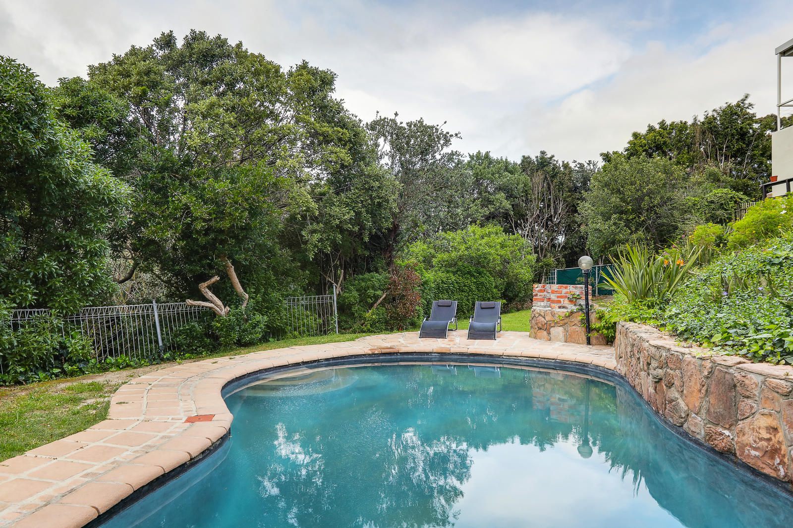 Mount Bay Llandudno Cape Town Western Cape South Africa Complementary Colors, Palm Tree, Plant, Nature, Wood, Garden, Swimming Pool