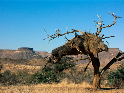 Mount Canyon Guest Farm