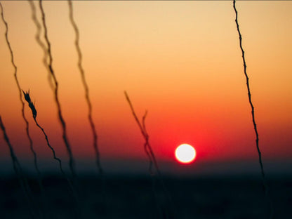 Mount Canyon Guest Farm, Colorful, Silhouette, Sky, Nature, Sunset