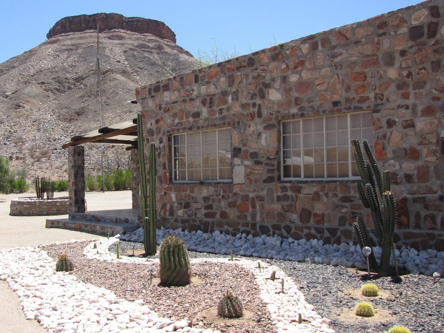 Mount Canyon Guest Farm, Cactus, Plant, Nature