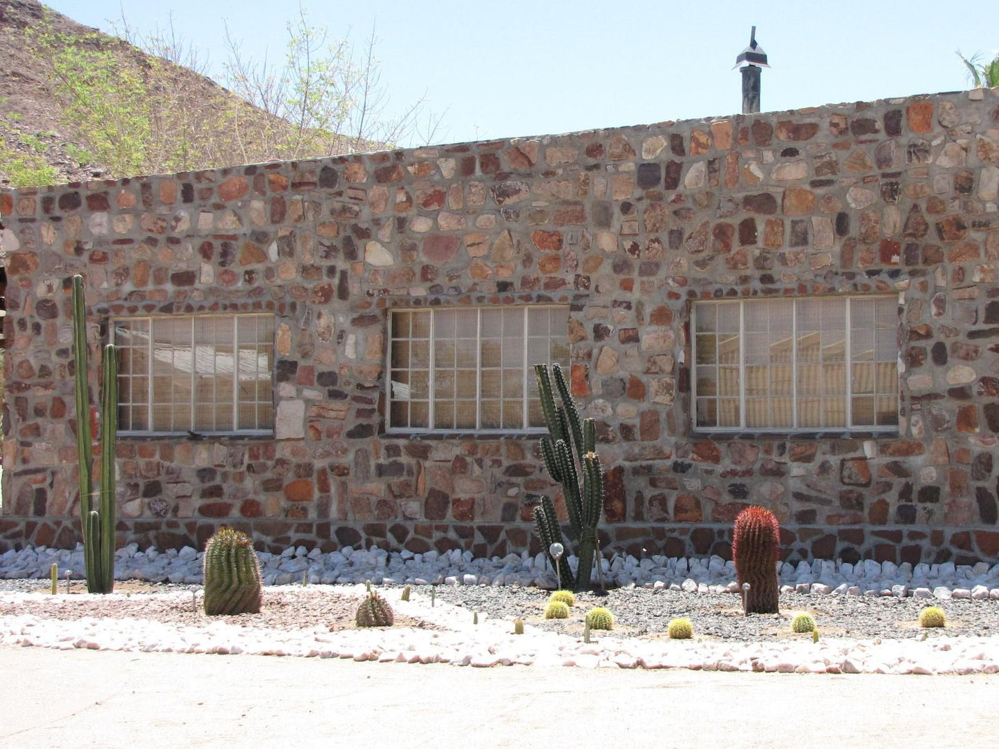 Mount Canyon Guest Farm, Building, Architecture, Cactus, Plant, Nature