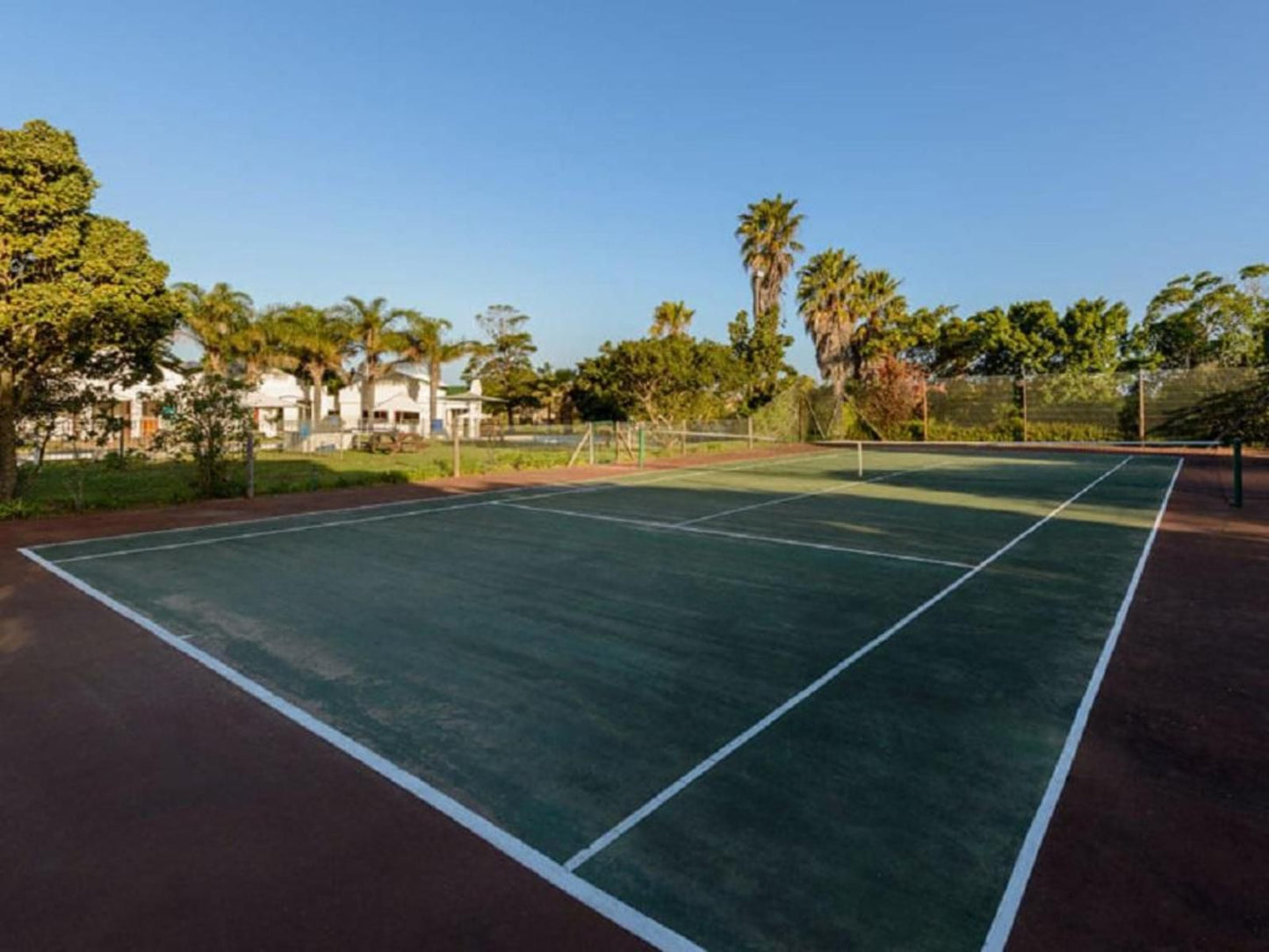 Mount Castleton Unit 66A Plettenberg Bay Western Cape South Africa Palm Tree, Plant, Nature, Wood, Ball Game, Sport