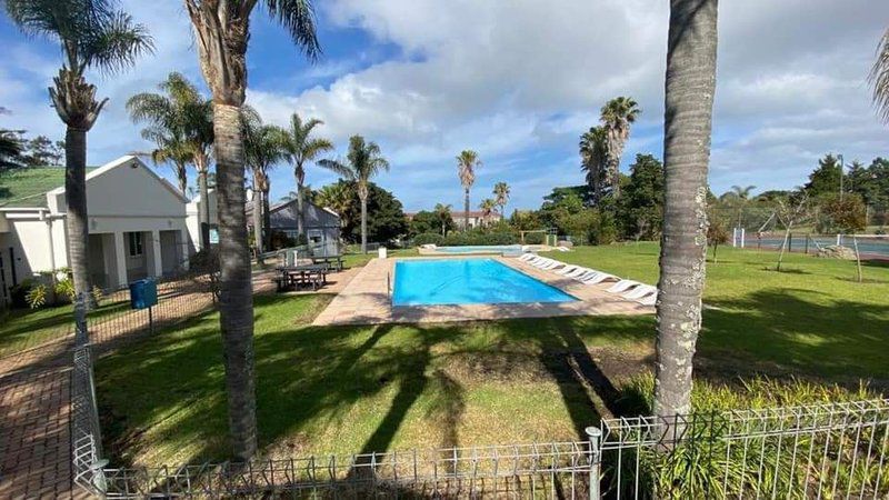 Mount Castleton Unit 66D Plettenberg Bay Western Cape South Africa Complementary Colors, Palm Tree, Plant, Nature, Wood, Garden, Swimming Pool