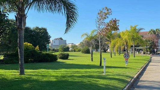 Mount Castleton Unit 66D Plettenberg Bay Western Cape South Africa Complementary Colors, House, Building, Architecture, Palm Tree, Plant, Nature, Wood