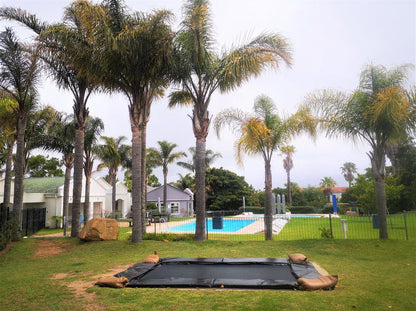 Mount Castleton Unit 66D Plettenberg Bay Western Cape South Africa Palm Tree, Plant, Nature, Wood, Swimming Pool