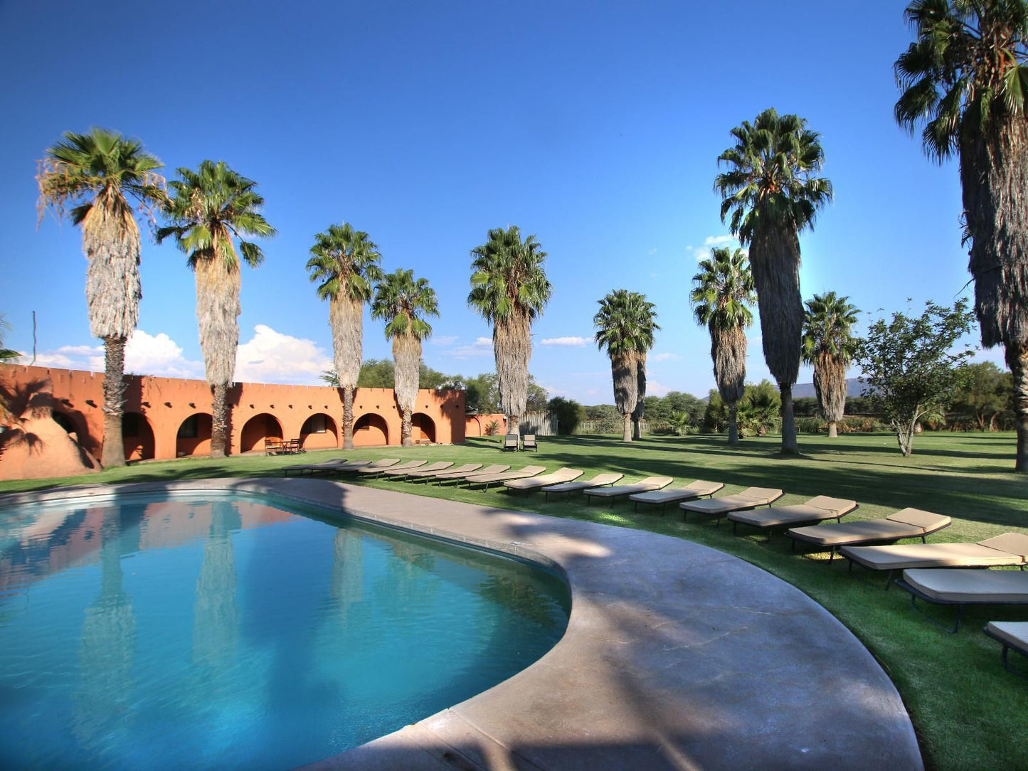 Mount Etjo Safari Lodge, Palm Tree, Plant, Nature, Wood, Swimming Pool