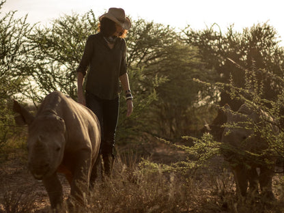 Mount Etjo Safari Lodge, Face, Person, One Face, Sepia Tones, Elephant, Mammal, Animal, Herbivore, Rhino, Profile Face