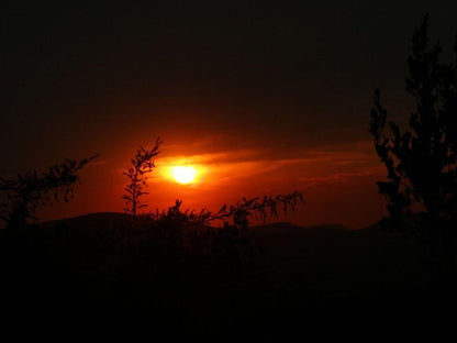 Mount Marula Game Lodge Thabazimbi Limpopo Province South Africa Dark, Sky, Nature, Sunset