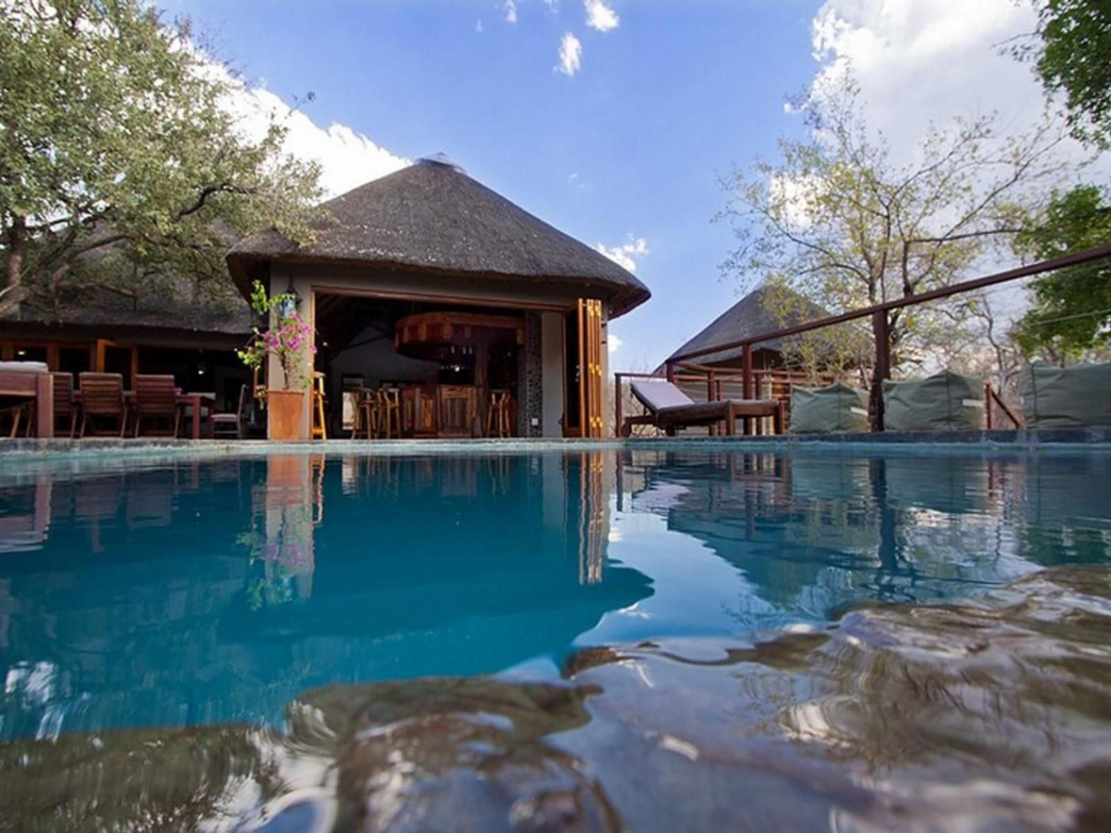 Mount Marula Game Lodge Thabazimbi Limpopo Province South Africa Swimming Pool