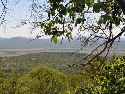 Mount Marula Game Lodge Thabazimbi Limpopo Province South Africa Forest, Nature, Plant, Tree, Wood