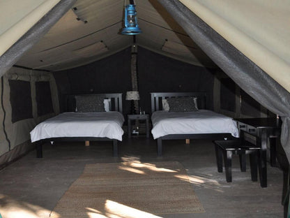 Mount Marula Game Lodge Thabazimbi Limpopo Province South Africa Unsaturated, Bedroom