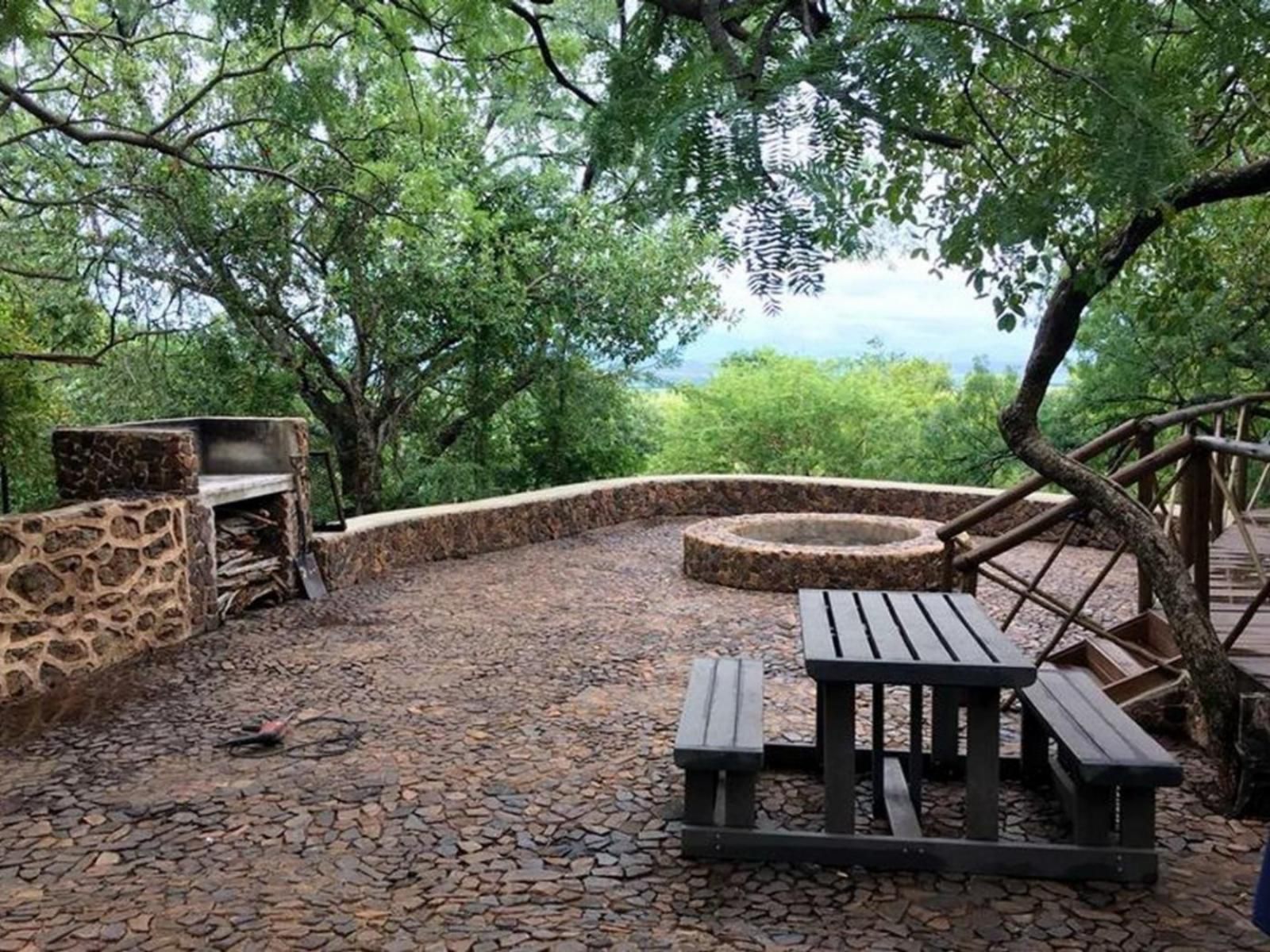 Mount Marula Game Lodge Thabazimbi Limpopo Province South Africa Garden, Nature, Plant