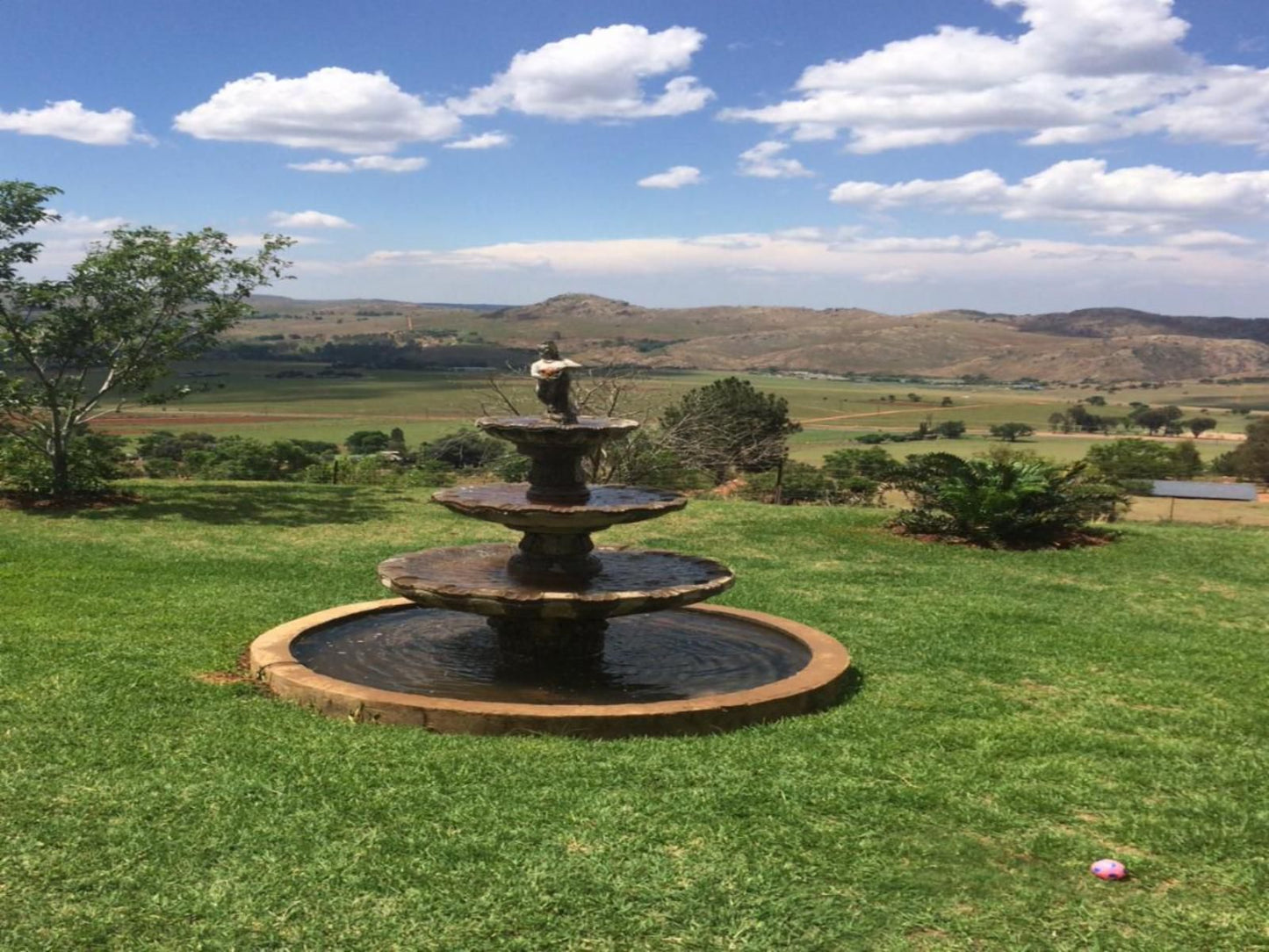 Mount Nebo Hillside Reserve Muldersdrift Gauteng South Africa Complementary Colors, Garden, Nature, Plant