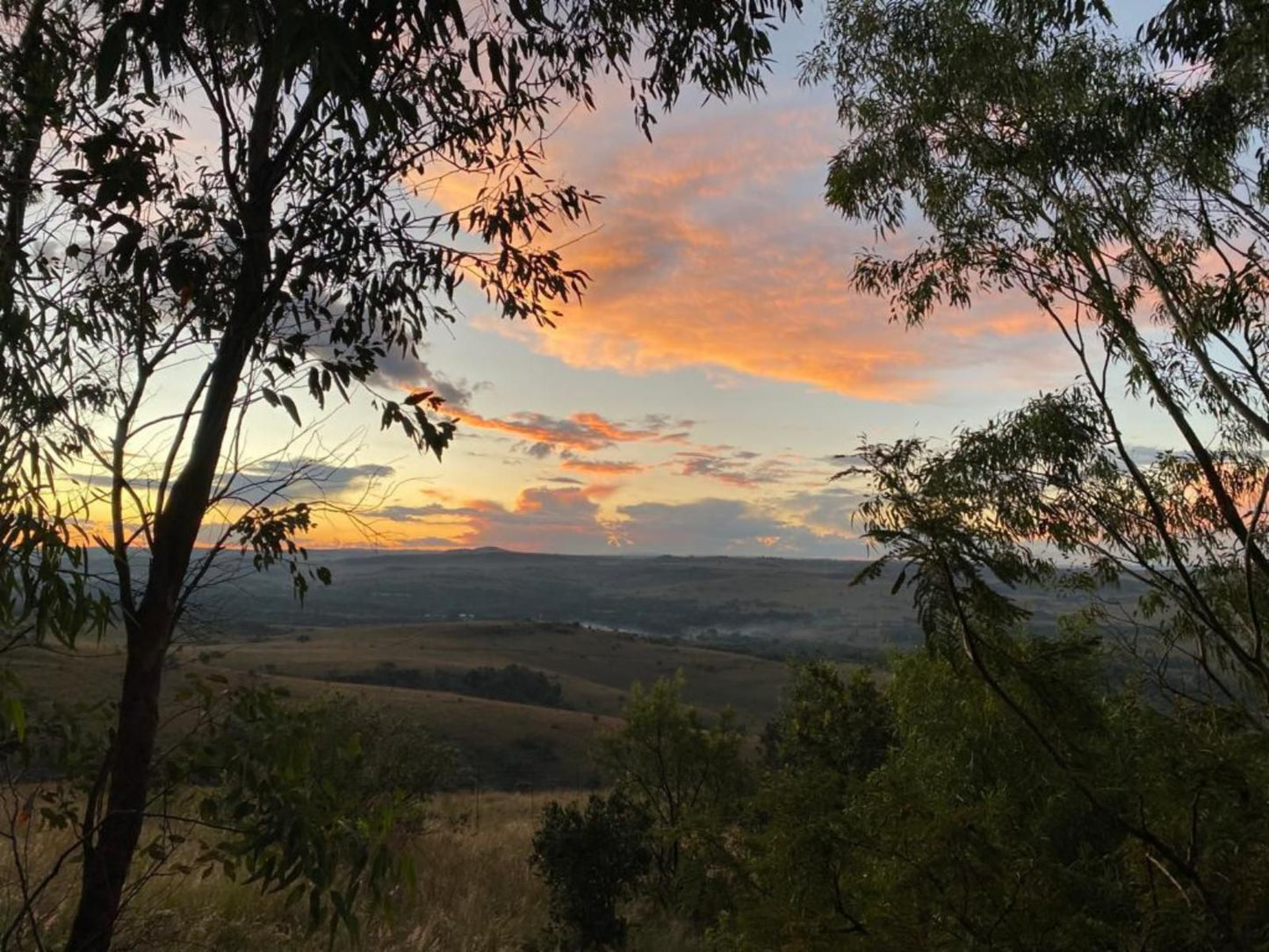 Mount Nebo Hillside Reserve Muldersdrift Gauteng South Africa Sky, Nature, Tree, Plant, Wood, Sunset