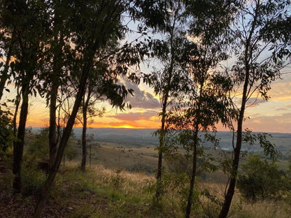 Mount Nebo Hillside Reserve Muldersdrift Gauteng South Africa Forest, Nature, Plant, Tree, Wood, Sunset, Sky