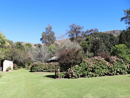 Mount Park Guest Farm Dargle Howick Kwazulu Natal South Africa Complementary Colors, Plant, Nature, Garden