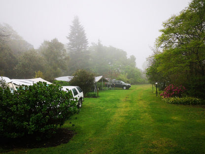 Mount Park Guest Farm Dargle Howick Kwazulu Natal South Africa Tree, Plant, Nature, Wood, Garden, Rain